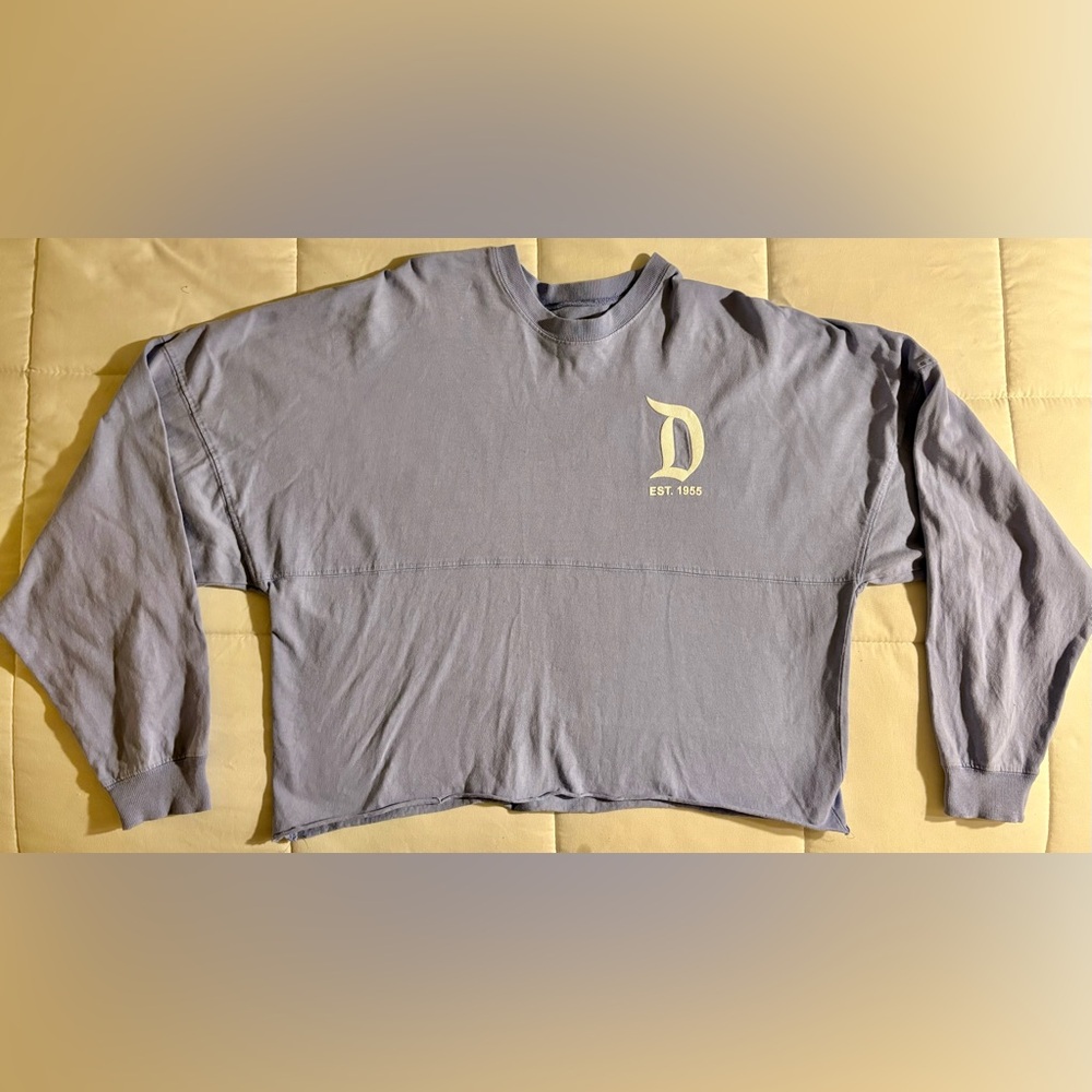Disney Parks Disneyland Resort Cropped Spirit Jersey Women’s Small Purple Blue